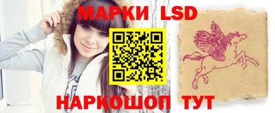 индика Лесосибирск