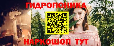 индика Лесосибирск
