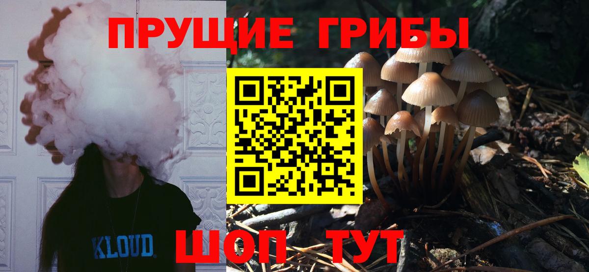 Галлюциногенные грибы Magic Shrooms Зеленокумск