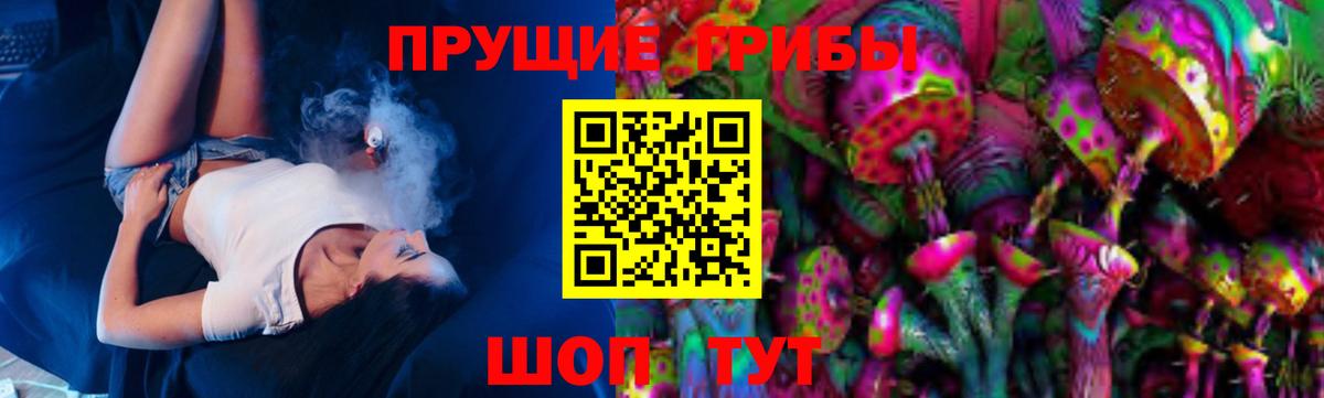 Зеленокумск  Псилоцибиновые грибы Cubensis  купить закладку  Вход с VPN 